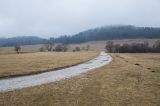 201402121126-AJ001412.jpg